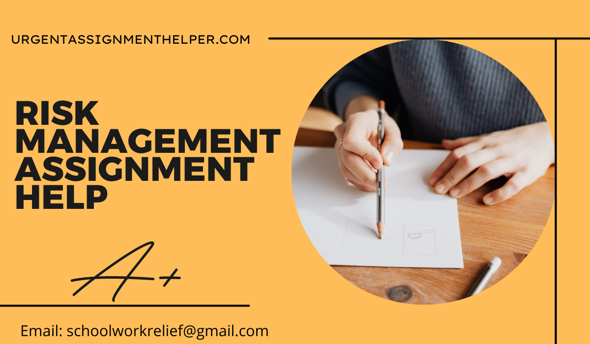 Risk management assignment help