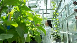 Agricultural engineering assignment help