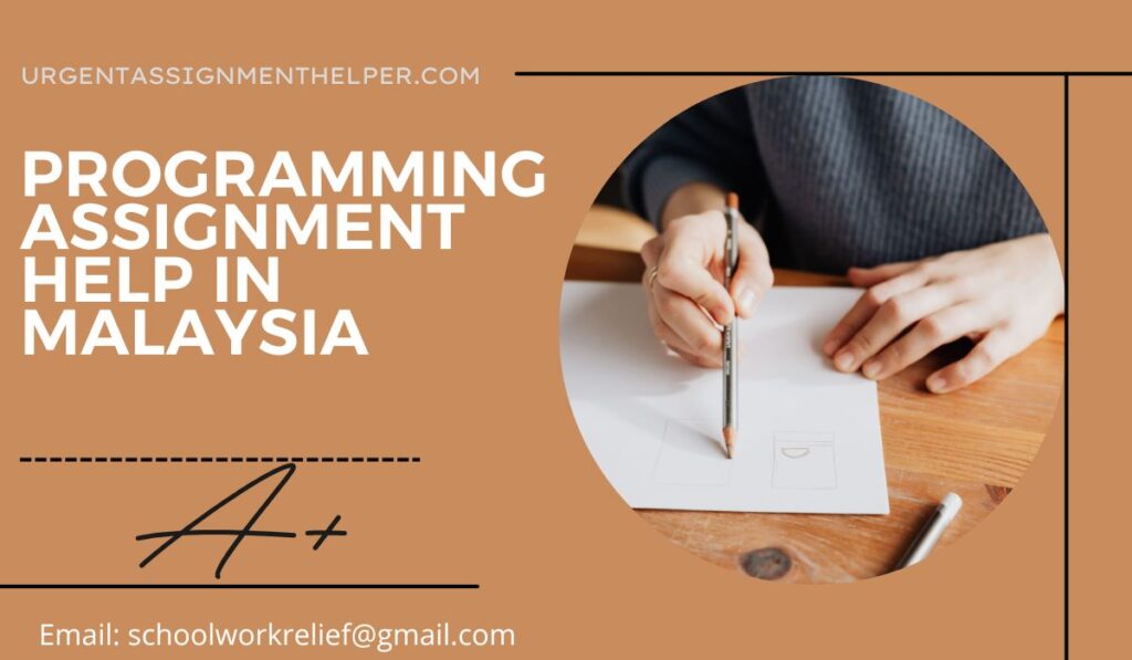 Programming homework help in Malaysia